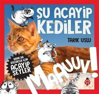 Daha da Küçükler İçin Acayip Şeyler Şu Acayip Kediler - 1