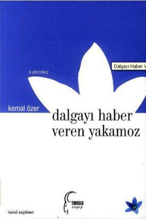 Dalgayı Haber Veren Yakamoz - 1