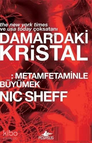 Damardaki Kristal; Metamfetaminle Büyümek - 1