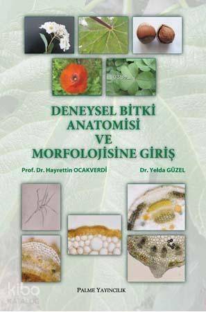 Deneysel Bitki Anatomisi ve Morfolojisine Giriş - 1