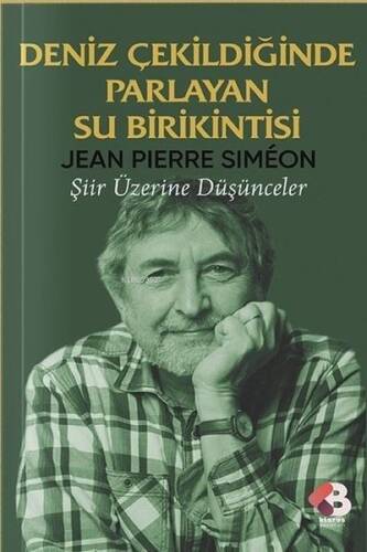 Deniz Çekildiğinde Parlayan Su Birikintisi - Şiir Üzerine Düşünceler - 1