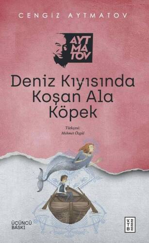 Deniz Kıyısında Koşan Ala Köpek - 1