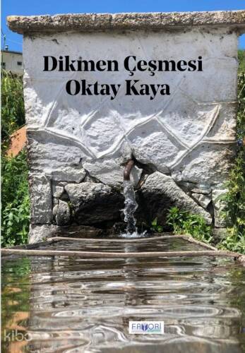 Dikmen Çeşmesi - 1