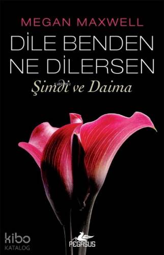 Dile Benden Ne Dilersen;Şimdi ve Daima (Dile Benden Ne Dilersen Serisi 2) - 1