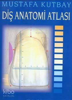 Diş Anatomi Atlası - 1