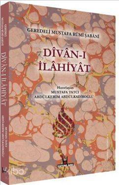 Divan-ı İlahiyat Geredeli Mustafa Rumi Şabani - 1