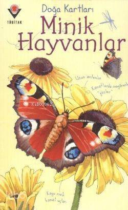 Doğa Kartları - Minik Hayvanlar - 1