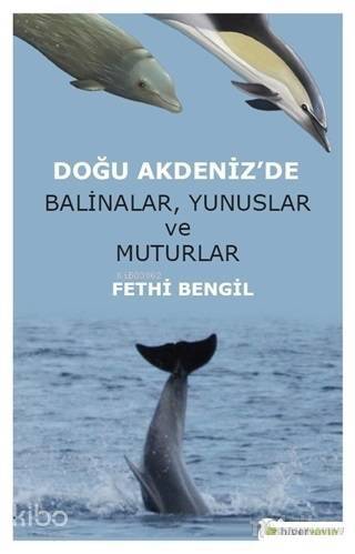 Doğu Akdeniz'de Balinalar, Yunuslar ve Muturlar - 1