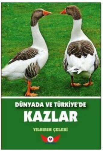 Dünyada Ve Türkiyede Kazlar - 1