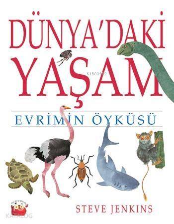 Dünya'daki Yaşam - 1