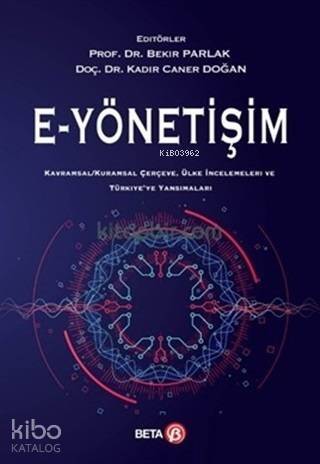 E - Yönetişim; Kavramsal - Kuramsal Çerçeve, Ülke İncelemeleri ve Türkiye'ye Yansımaları - 1