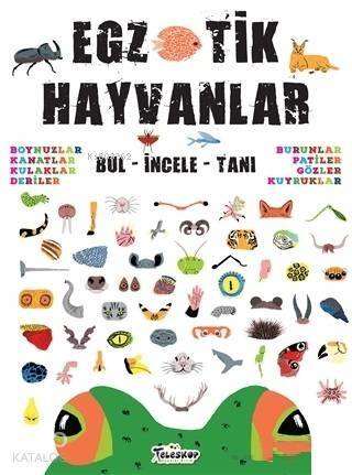 Egzotik Hayvanlar Bul - İncele - Tanı - 1