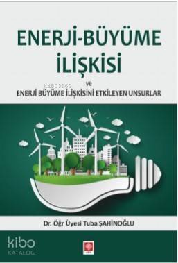 Enerji Büyüme İlişkisi ve Enerji Büyüme İlişkisini Etkileyen Unsurlar - 1