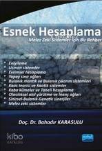 Esnek Hesaplama; Melez Zeki Sistemler İçin Bir Rehber - 1