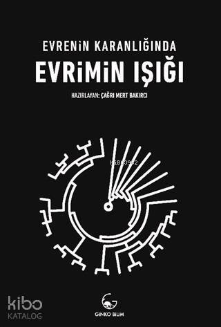 Evrenin Karanlığında Evrimin Işığı - 1