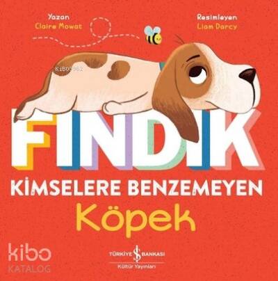 Fındık Kimselere Benzemeyen Köpek - 1