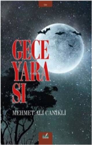 Gece yarası - 1