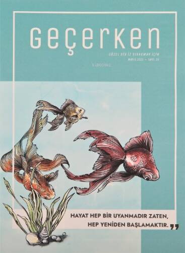 Geçerken - 1