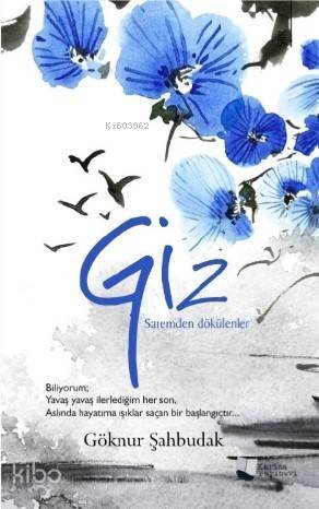 Giz - Saremden dökülenler - 1