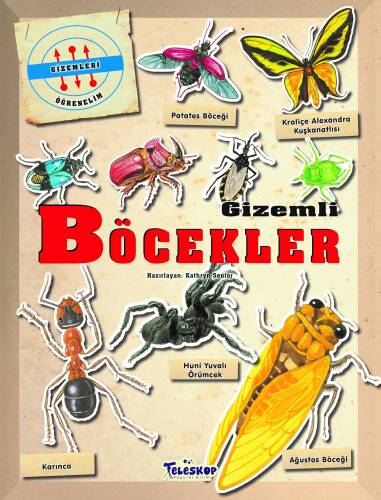 Gizemleri Öğrenelim - Gizemli Böcekler - 1