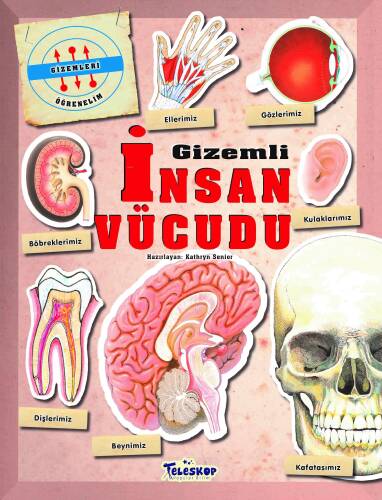 Gizemleri Öğrenelim - Gizemli İnsan Vücudu - 1