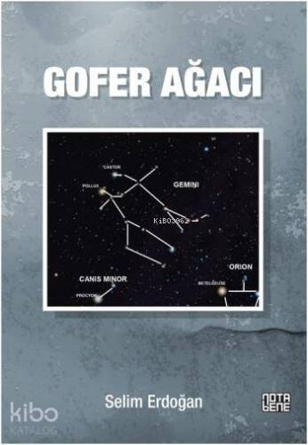 Gofer Ağacı - 1