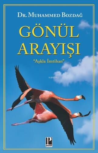 Gönül Arayışı - 1