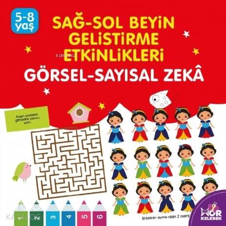 Görsel Sayılsal Zeka - 1