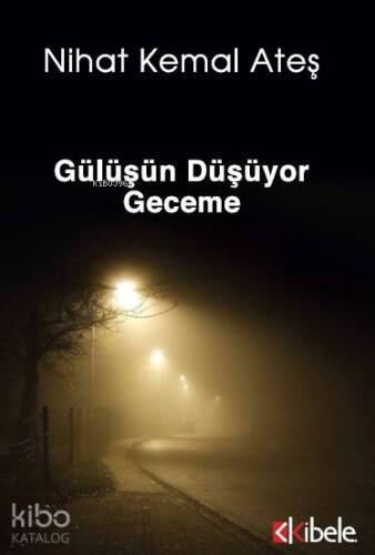 GÜLÜŞÜN DÜŞÜYOR GECEME - 1