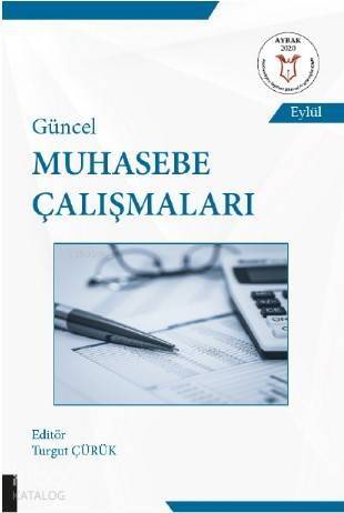 Güncel Muhasebe Çalışmaları - 1