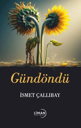 Gündöndü - 1