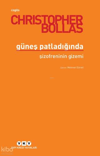 Güneş Patladığında Şizofreninin Gizemi - 1