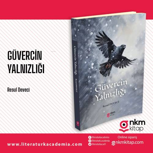 Güvercin Yalnızlığı - 1