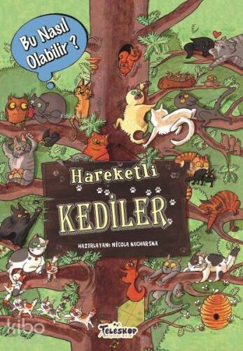 Hareketli Kediler - Bu Nasıl Olabilir? - 1