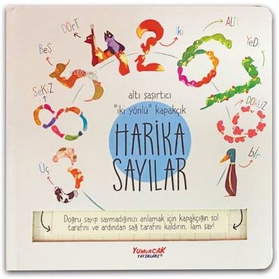 Harika Sayılar (Kapakçıklı) - 1