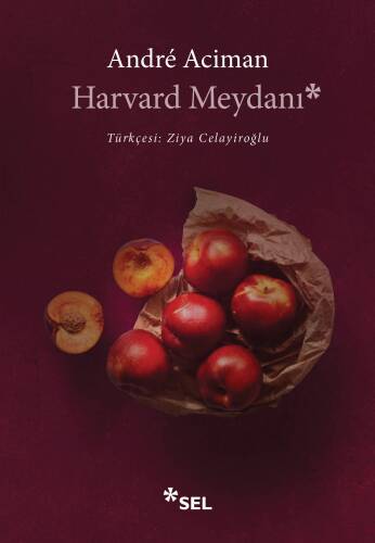 Harvard Meydanı - 1