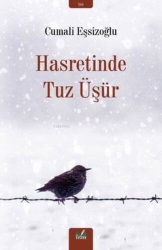 Hasretinde Tuz Üşür - 1