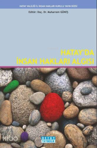 Hatay da İnsan Hakları Algısı - 1