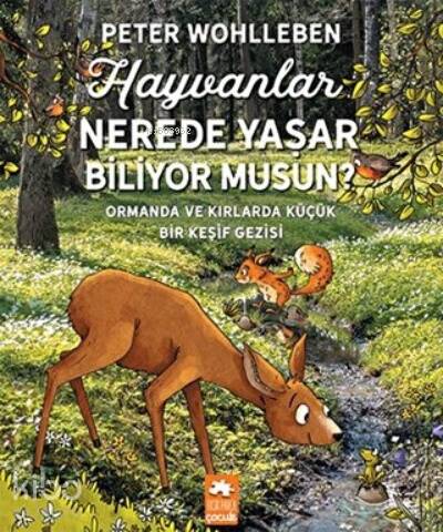 Hayvanlar Nerede Yaşar Biliyor Musun? Ormanda ve Kırlarda Küçük Bir Keşif Gezisi - 1