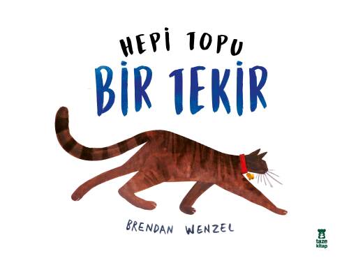 Hepi Topu Bir Tekir - 1