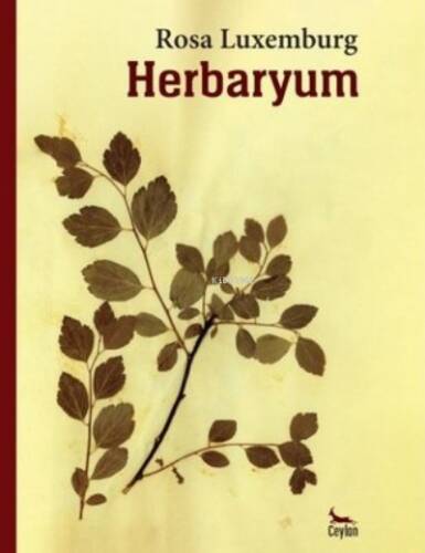 Herbaryum - 1