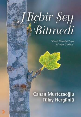 Hiçbir Şey Bitmedi;Kendi Kaderini Tayin Edebilen Türkiye - 1