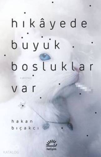 Hikayede Büyük Boşluklar Var - 1