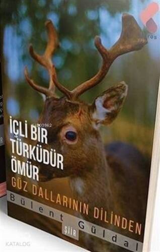 İçli Bir Türküdür Ömür Güz Dallarının Dilinden - 1