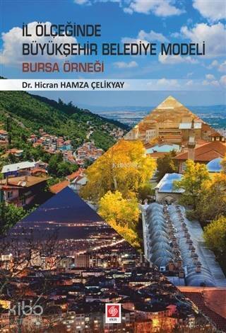 İl Ölçeğinde Büyükşehir Belediye Modeli; Bursa Örneği - 1