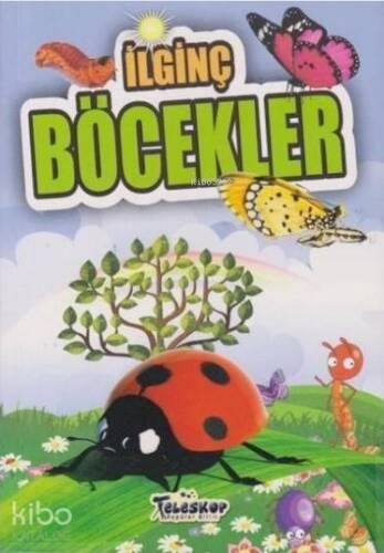 İlginç Böcekler - 1