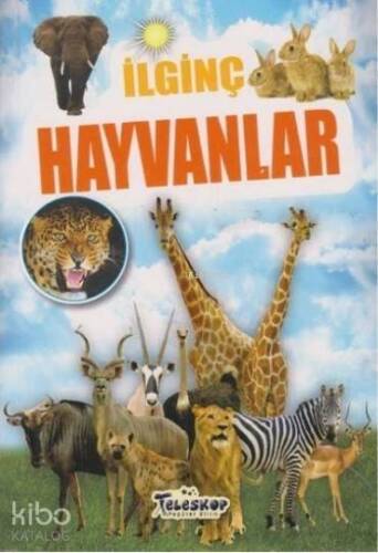 İlginç Hayvanlar - 1