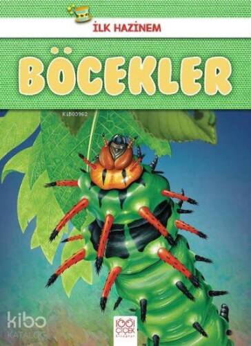 İlk Hazinem Böcekler - 1