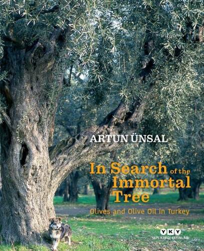 In Search Of The Immortal Tree/ Olives and Olive Oil in Turkey - 1