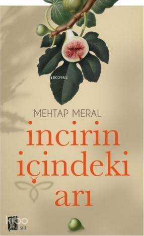 İncirin İçindeki Arı - 1